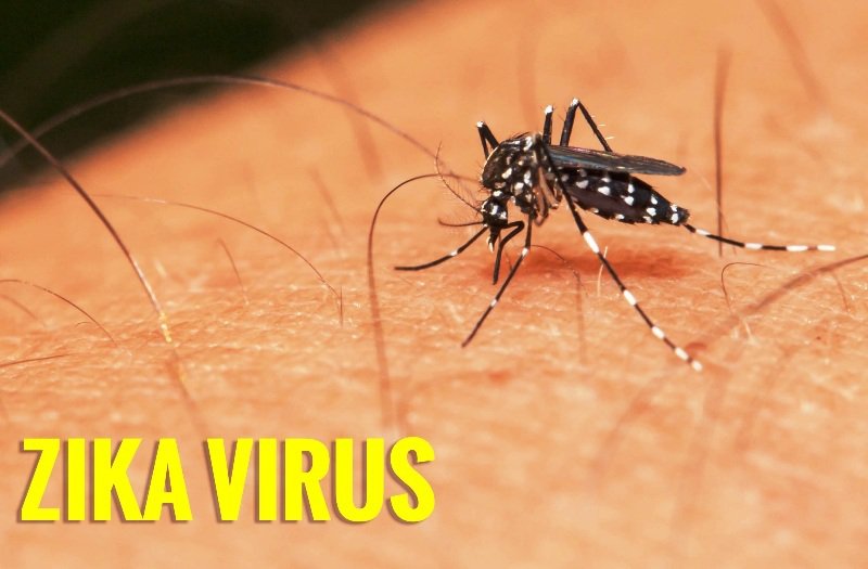 Bệnh Virus Zika