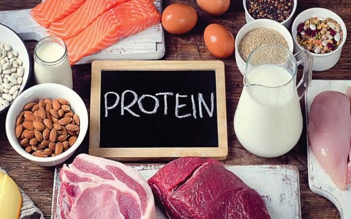 Thực phẩm giàu hàm lượng protein