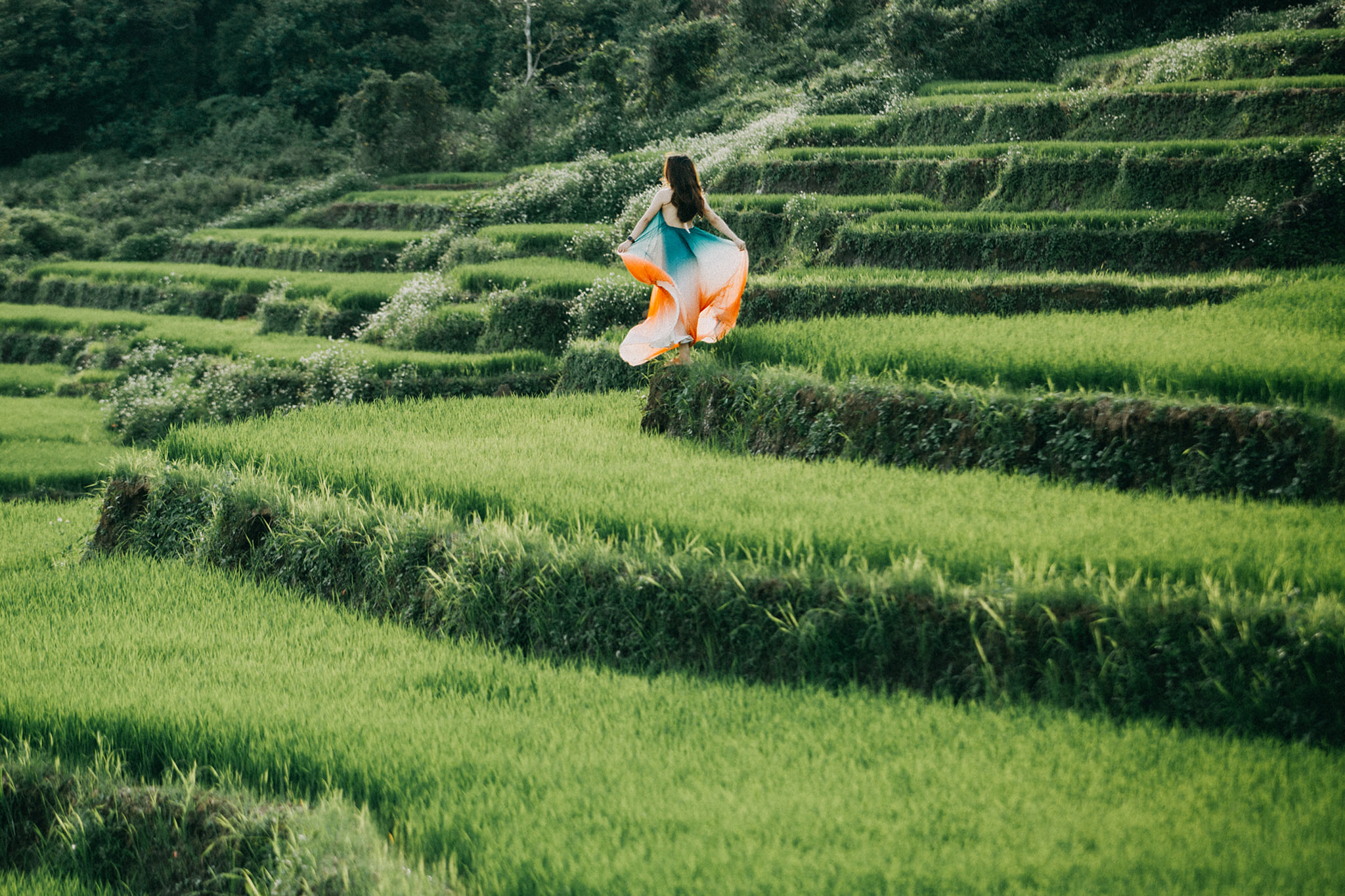 Vẻ đẹp tựa ruộng bậc thang Tây Bắc ngay giữa lòng Tây Nguyên